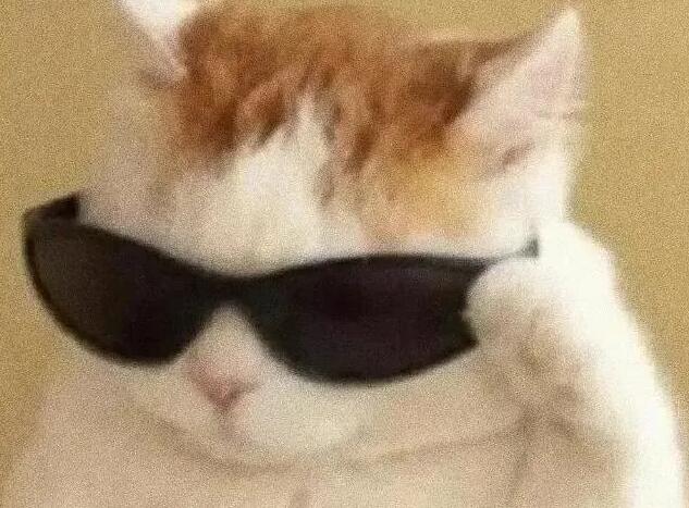 微信聊天自我介绍怎么写