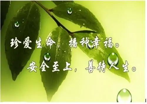珍爱生命的名言名句文案