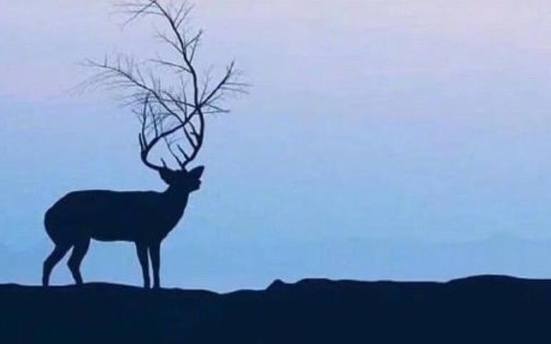 感情碎了句子文案