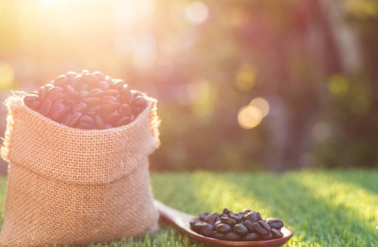 温馨早安问候语50句