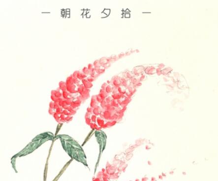 读书笔记一段话及感受