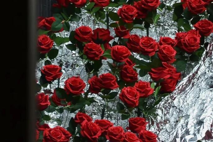 美好时光的唯美短句