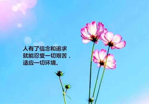 充满激励话语的早安问候语句文案