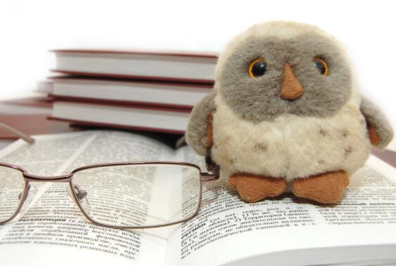 关于教养的句子文案摘抄