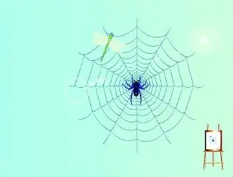 写蜘蛛的句子文案