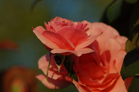 描写简单的幸福的句子文案