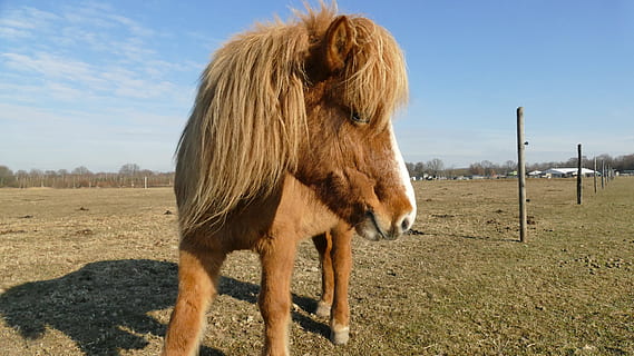 调侃朋友谈恋爱的句子文案