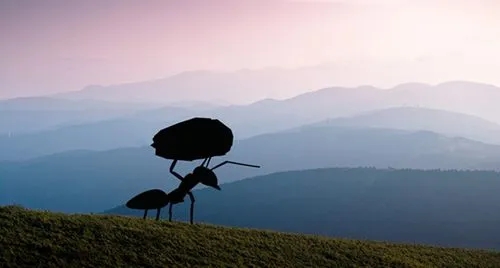 有关于坚强的名言