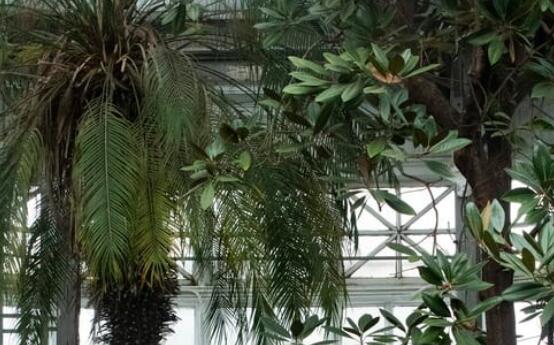 希望老婆回心转意的话