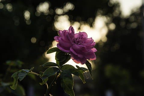 发什么朋友圈让男生主动找你