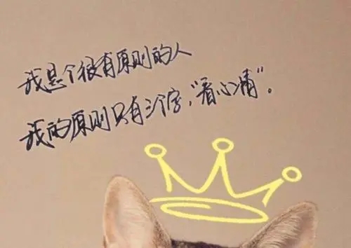 愿自己没心没肺的说说文案