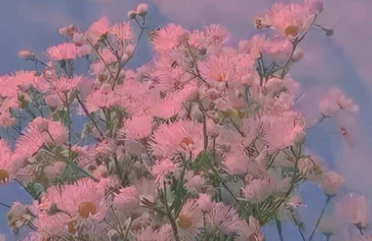 哭了发伤感的句子文案