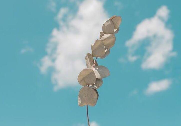 阳光心态正能量的句子文案2024