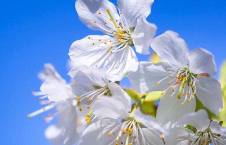 工作早安正能量句子文案