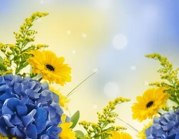 议论的句子文案摘抄