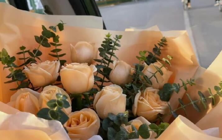 朋友圈图片配图