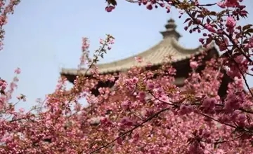 赞美西安的现代诗词