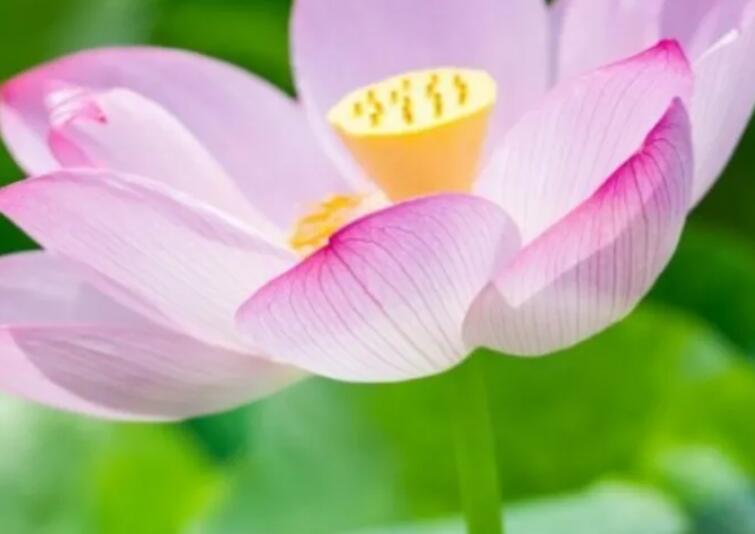 2024最新的早安的朋友圈说说文案