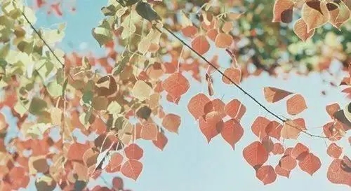 心情淡淡忧伤的短语