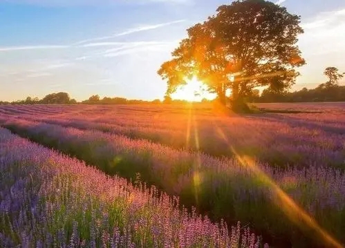 风景美好的句子文案唯美