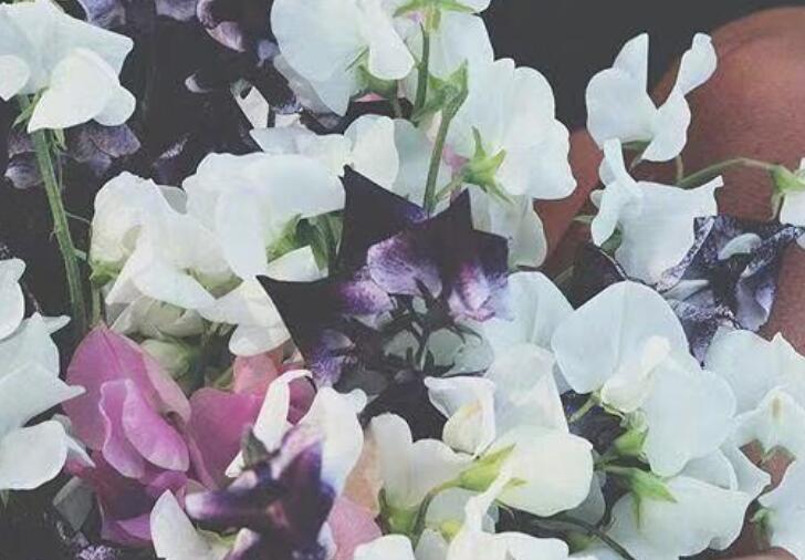 半夜失眠的心情句子文案