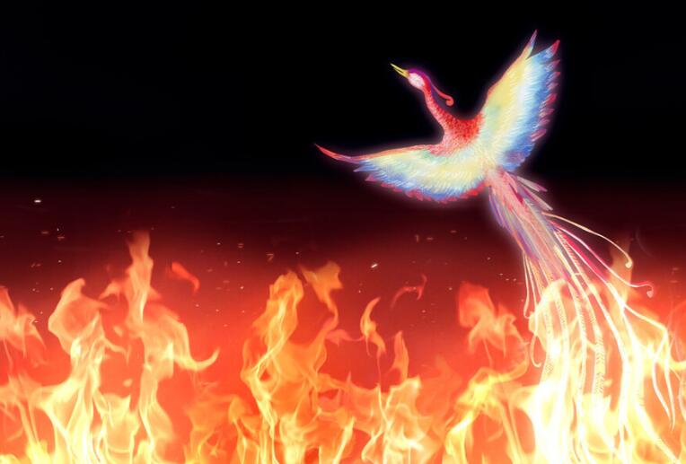 人活着要争口气的句子文案