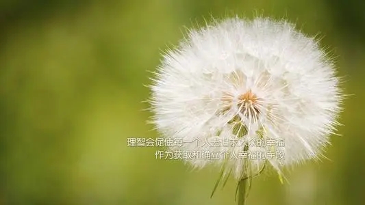 给颓废的人励志的话