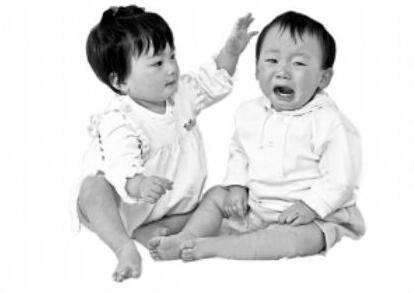 关于同胞手足的诗句文案