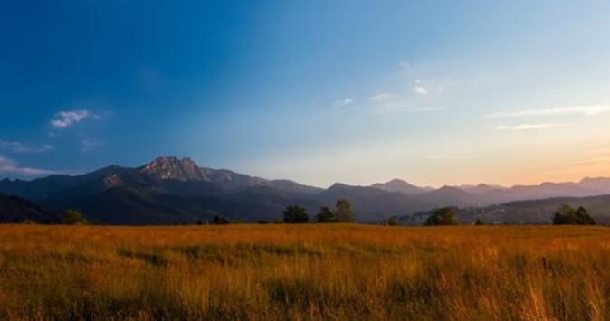 努力终有回报的美句