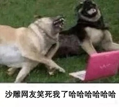 那些笑死人的沙雕签名简短