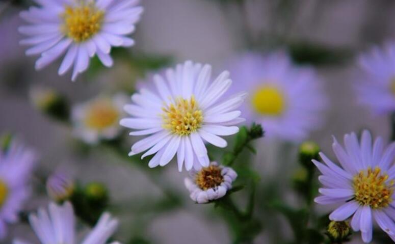 早安致自己励志句子文案