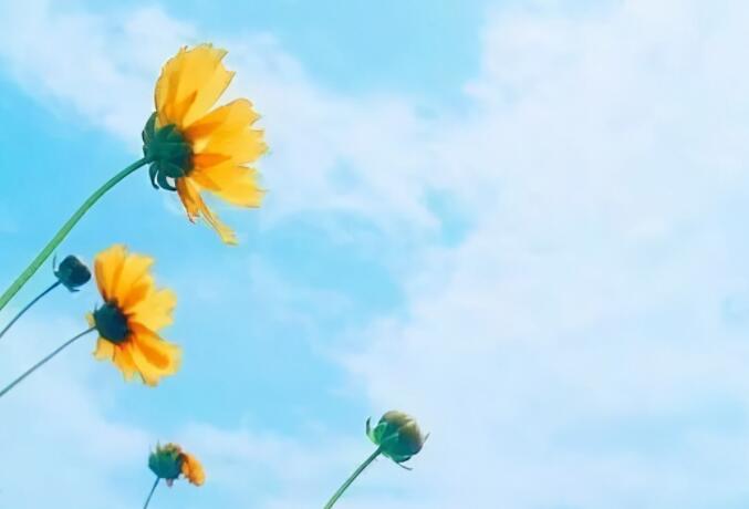 正能量激励走心文案