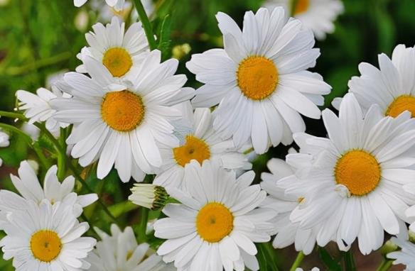 清晨激励人心的话语