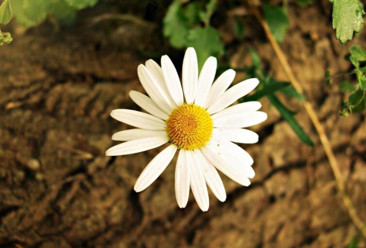 内涵唯美优雅短句