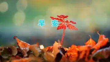 早上好群发问候语