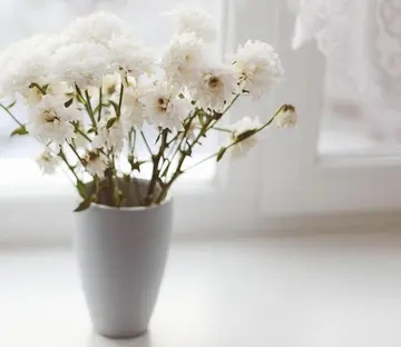 形容人生不易的句子文案