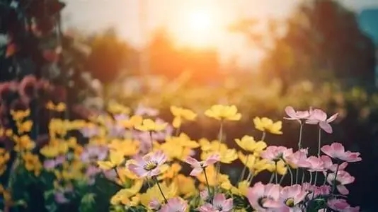 什么是生活经典语录文案