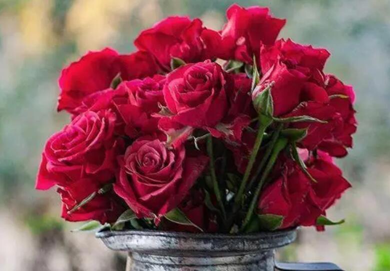 关于朴实无华的名言