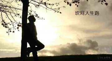 感慨人生的句子文案伤感的