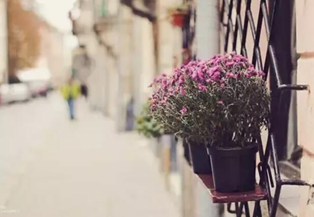 6个字80条优美句子文案