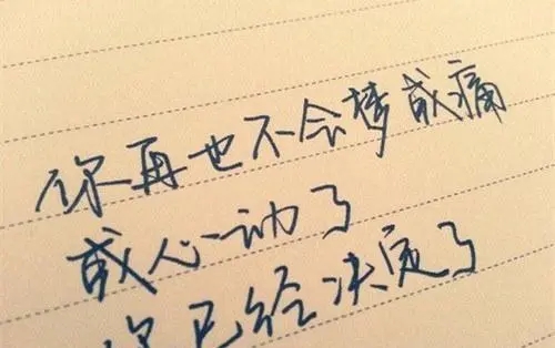 表达一个人很用心的句子文案