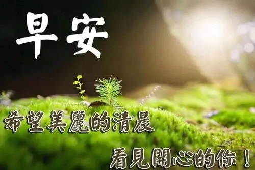 给好友发早安的祝福语