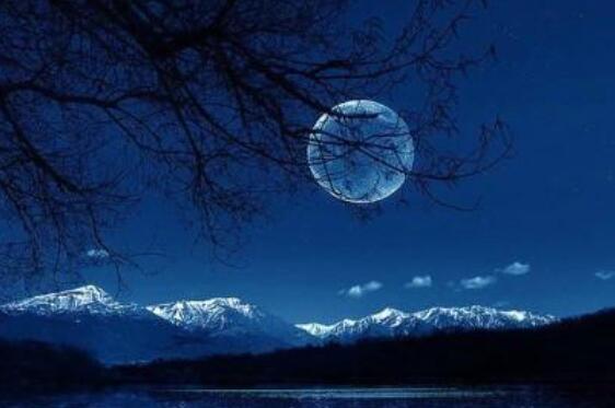 关于知乎的句子文案