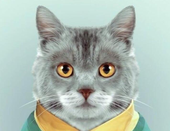 每日问候健康早安心语图片