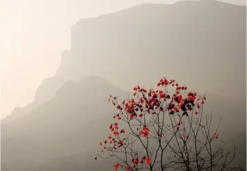 怀念父亲最落泪的诗句文案