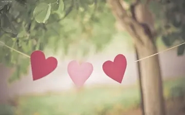 英文优美文章摘抄大全