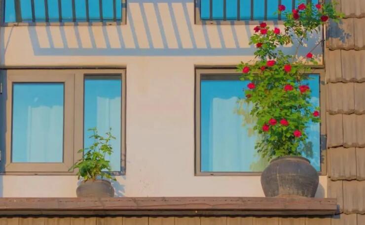 简单优雅的句子文案