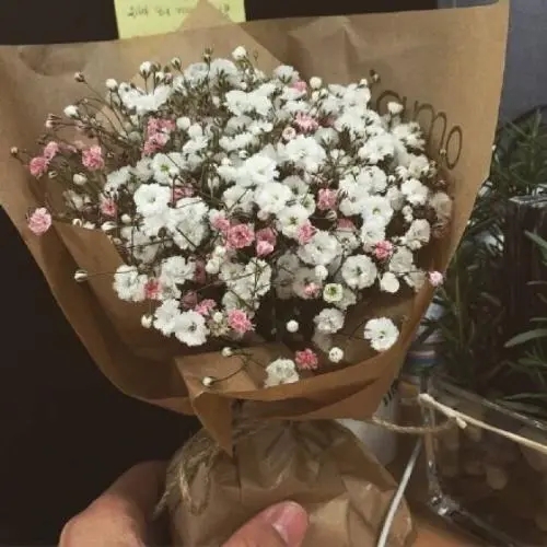 满天星的经典名言