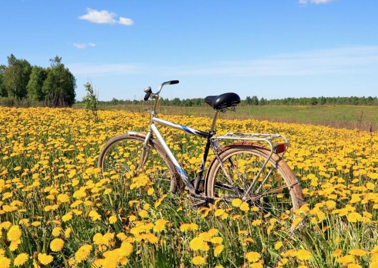 五句描写风景的句子文案