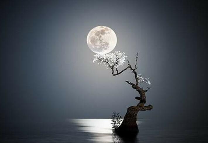 霸气高冷到爆的古风句子文案